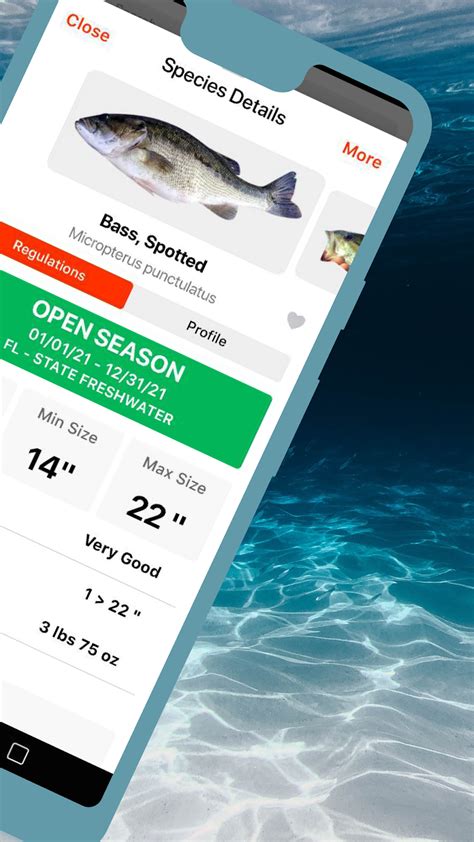 fishverify|FishVerify: ID & Regulations APK (Android App) .